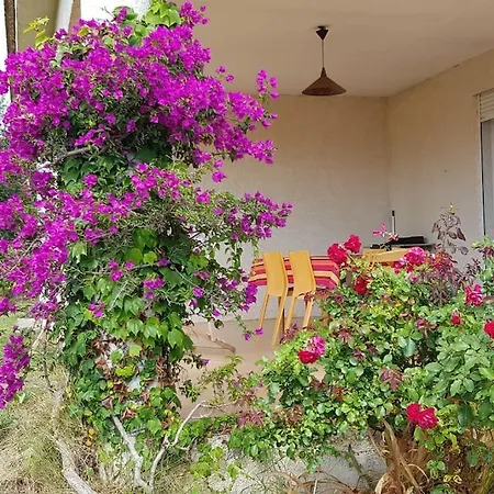بيت للعطل 500m De La Plage Parfait Pour Une Famille Valle-di-Campoloro